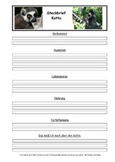 Katta-Steckbriefvorlage.pdf